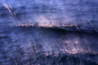 Wave abstraction