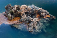 Sedrena stijena u nacionalnom parku Plitvička Jezera, Lika/Hrvatska