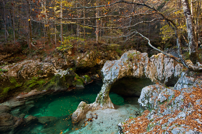 Rijeka Mostnica i poznata slonova stijena u Nac. Parku Triglav, Gorenjska/Slovenija