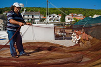 Fisherman is checking out the net, Kali, island Ugljan, Dalmatia, Croatia