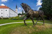 A horse statue in the gallery of Antun Augustincic in town Klanjec, Zagorje, Croatia